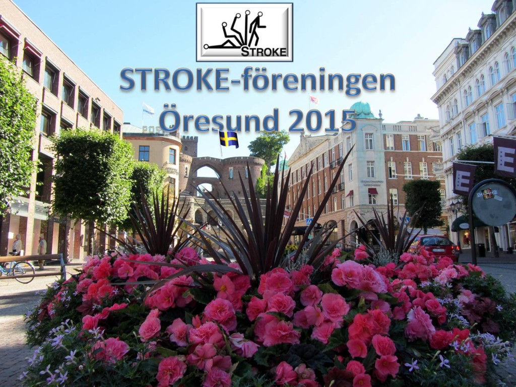 hbg stroke