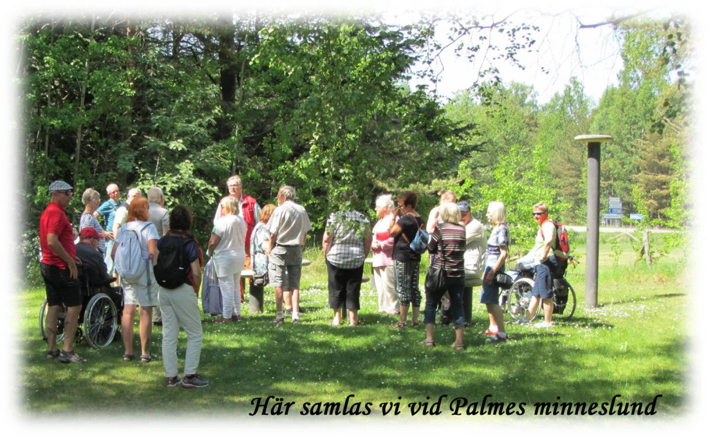 palmeplatsOK