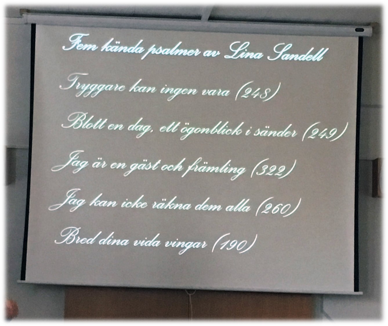 lina-sandellbra